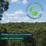 49555215627_98960fd906_b